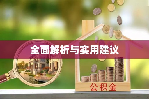 电白全面解析与实用建议