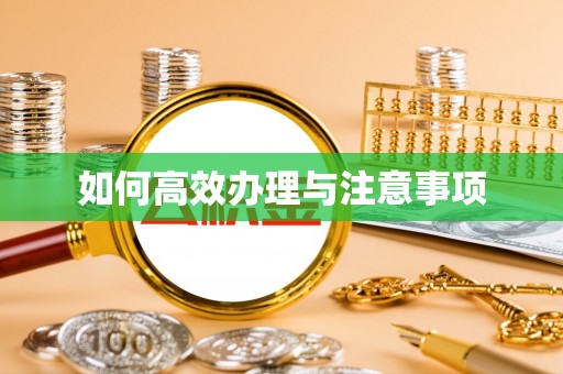 电白如何高效办理与注意事项