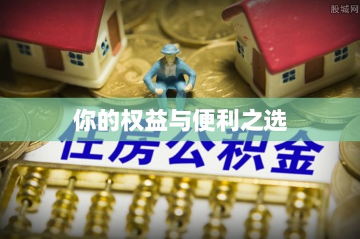 电白你的权益与便利之选