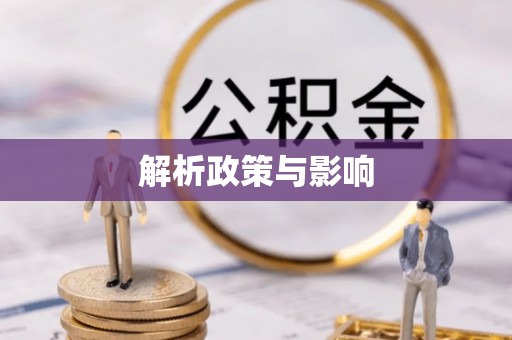 电白解析政策与影响