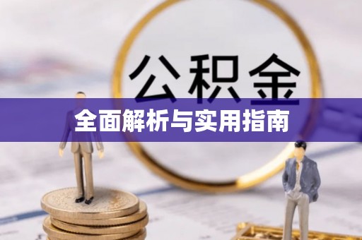 电白全面解析与实用指南