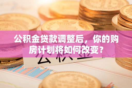 电白公积金贷款调整后，你的购房计划将如何改变？