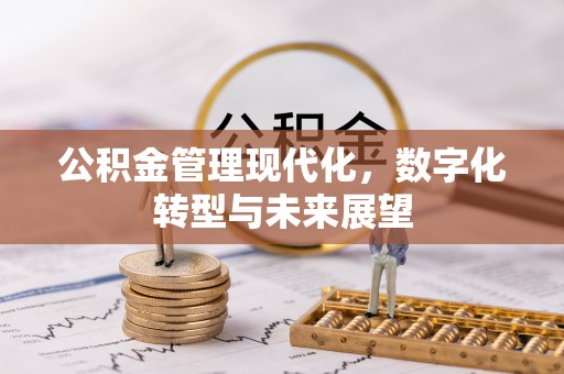 电白公积金管理现代化，数字化转型与未来展望