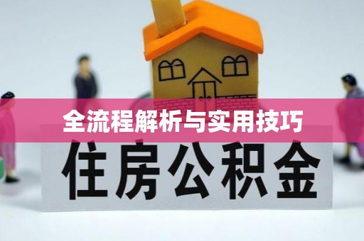 电白全流程解析与实用技巧
