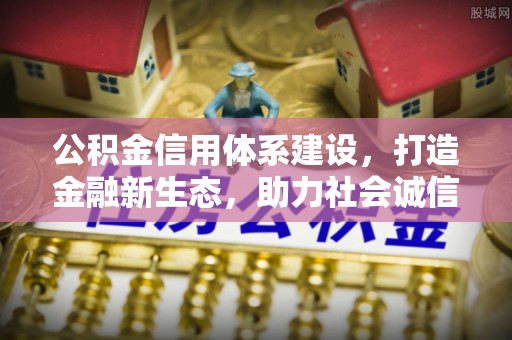电白公积金信用体系建设，打造金融新生态，助力社会诚信发展