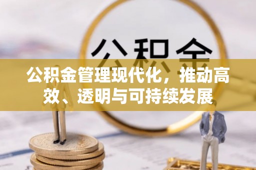电白公积金管理现代化，推动高效、透明与可持续发展