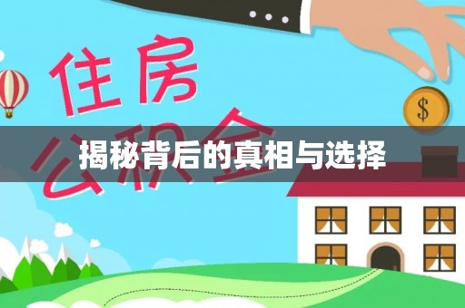 电白揭秘背后的真相与选择