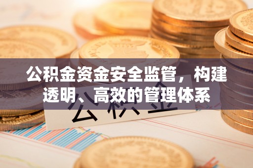 电白公积金资金安全监管，构建透明、高效的管理体系