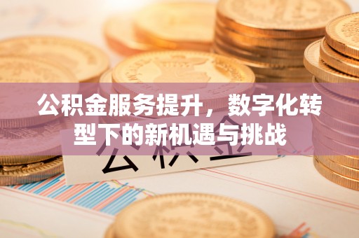 电白公积金服务提升，数字化转型下的新机遇与挑战