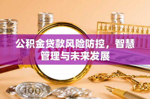 电白公积金贷款风险防控，智慧管理与未来发展