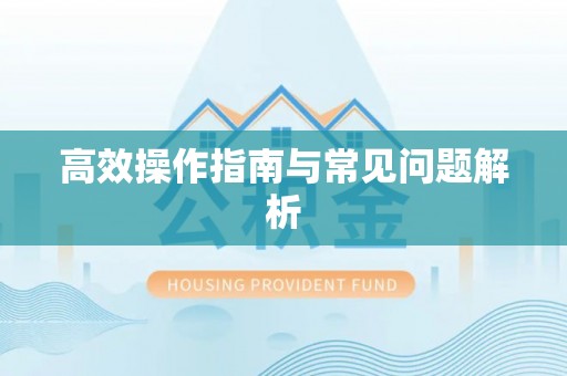 电白高效操作指南与常见问题解析