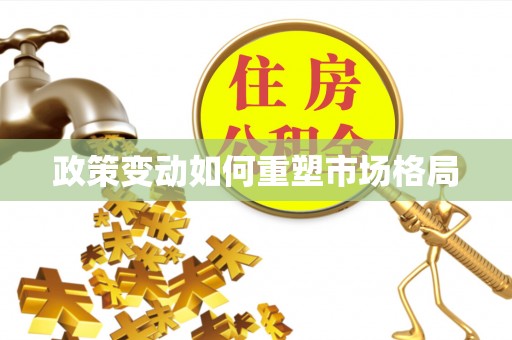 电白政策变动如何重塑市场格局