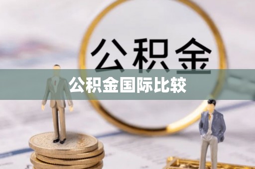 电白公积金国际比较