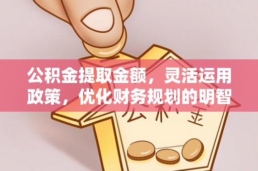 电白公积金提取金额，灵活运用政策，优化财务规划的明智选择