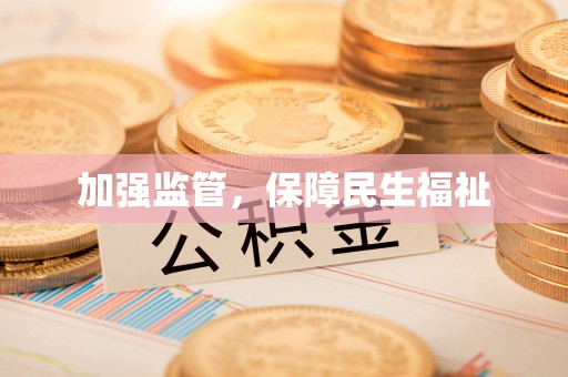 电白加强监管，保障民生福祉