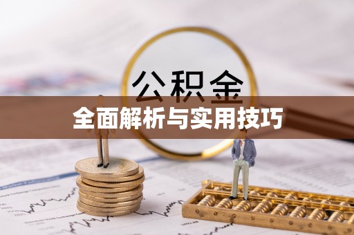 电白全面解析与实用技巧