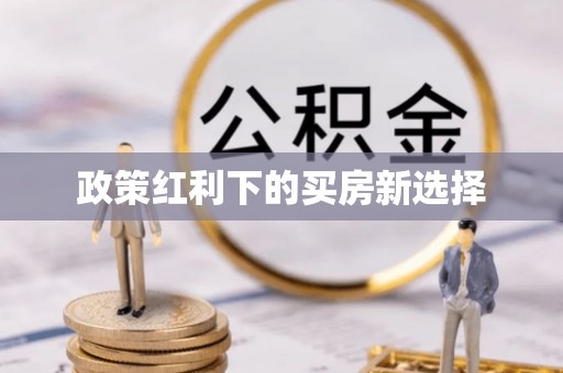 电白政策红利下的买房新选择