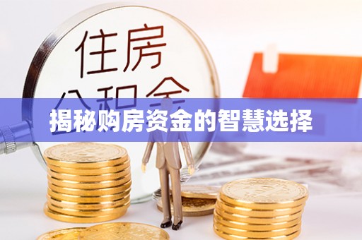 电白揭秘购房资金的智慧选择