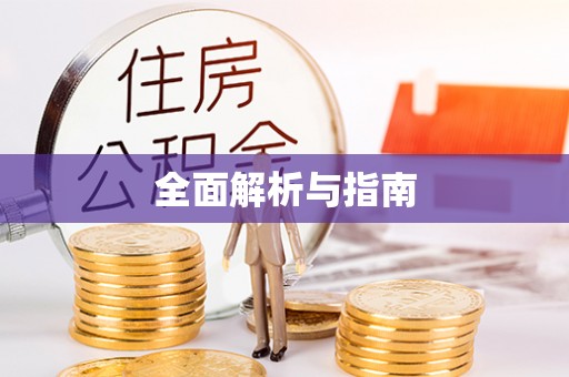 电白全面解析与指南