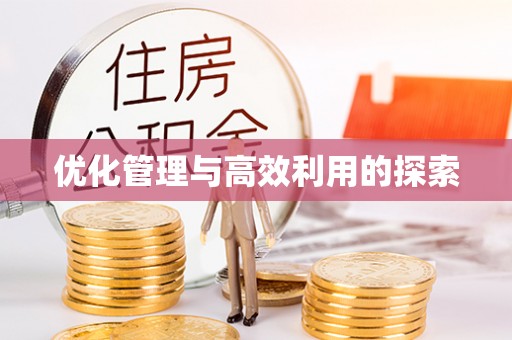 电白优化管理与高效利用的探索