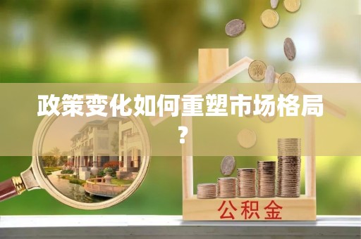 电白政策变化如何重塑市场格局？