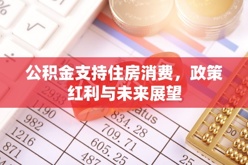 电白公积金支持住房消费，政策红利与未来展望