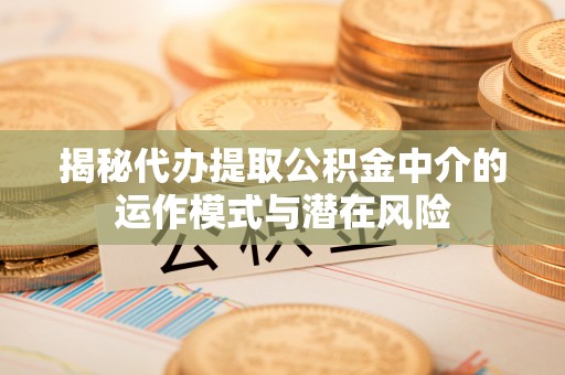 电白揭秘代办提取公积金中介的运作模式与潜在风险