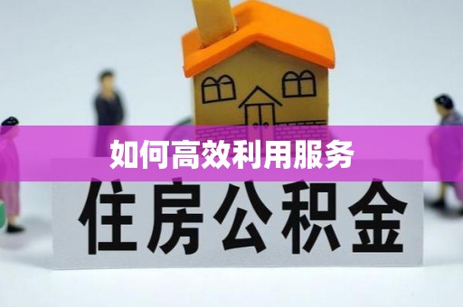 电白如何高效利用服务