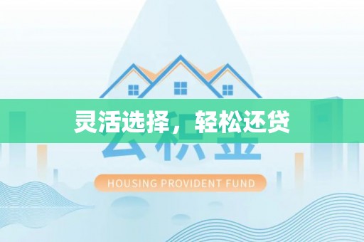 电白灵活选择，轻松还贷