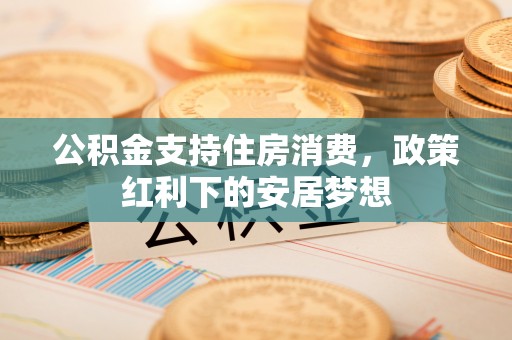 电白公积金支持住房消费，政策红利下的安居梦想