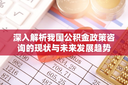 电白深入解析我国公积金政策咨询的现状与未来发展趋势