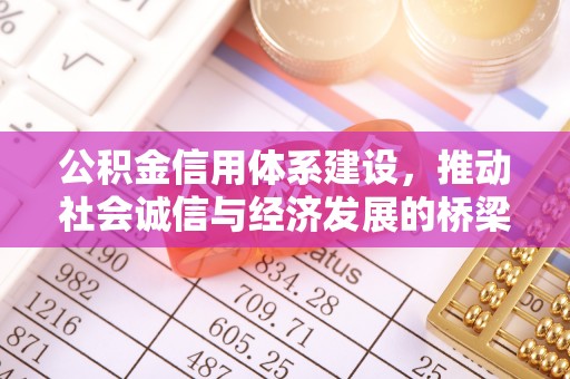 电白公积金信用体系建设，推动社会诚信与经济发展的桥梁