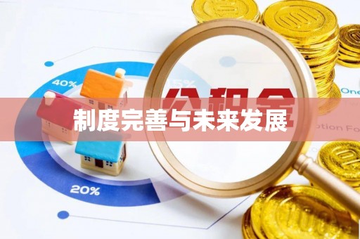 电白制度完善与未来发展