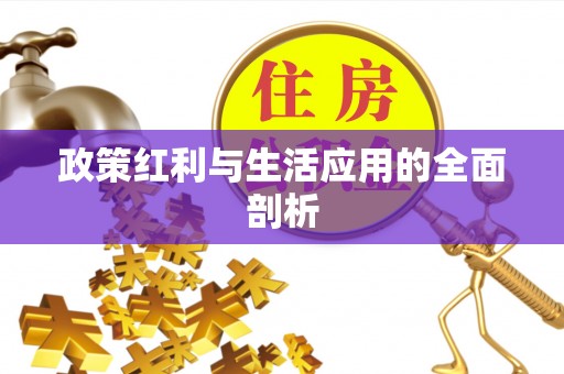 电白政策红利与生活应用的全面剖析