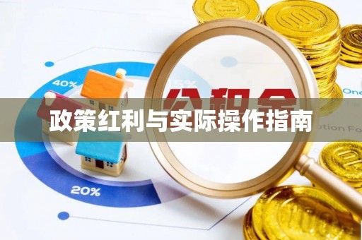 电白政策红利与实际操作指南