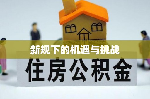 电白新规下的机遇与挑战