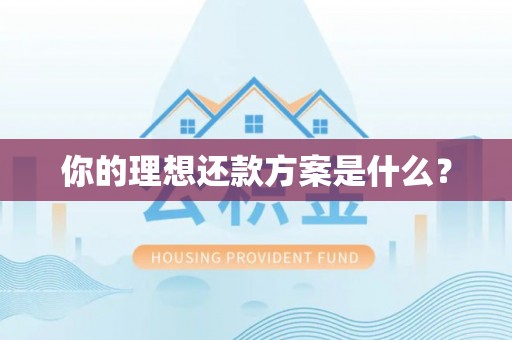 电白你的理想还款方案是什么？