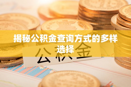 电白揭秘公积金查询方式的多样选择