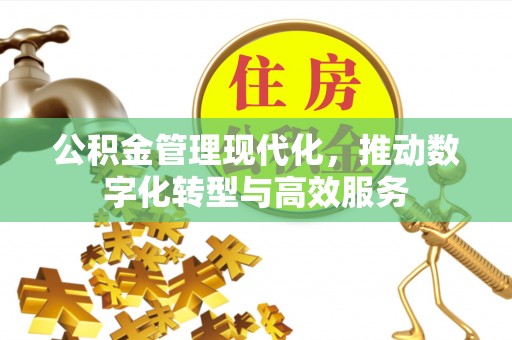 电白公积金管理现代化，推动数字化转型与高效服务