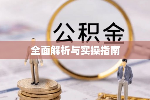 电白全面解析与实操指南