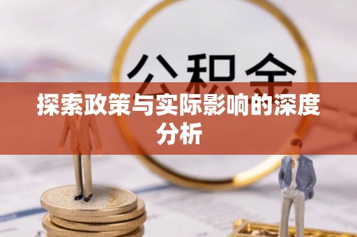电白探索政策与实际影响的深度分析