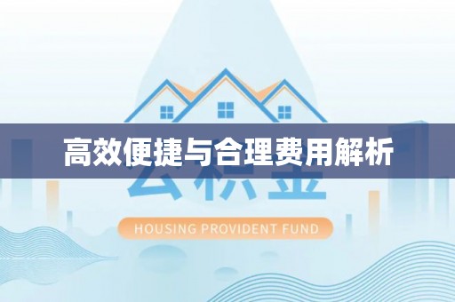 电白高效便捷与合理费用解析