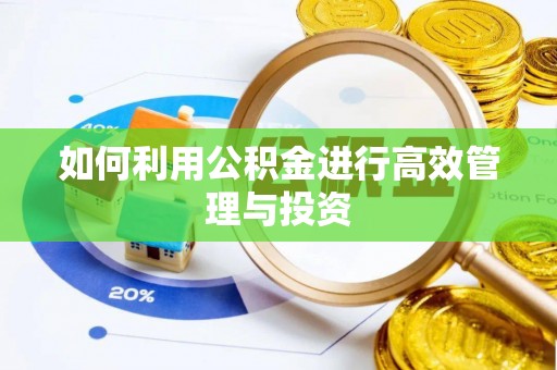电白如何利用公积金进行高效管理与投资