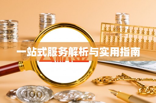 电白一站式服务解析与实用指南