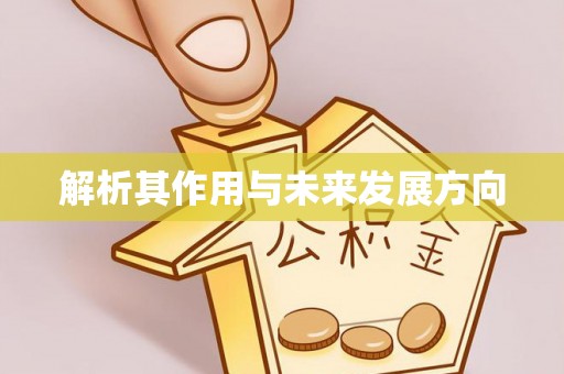 电白解析其作用与未来发展方向