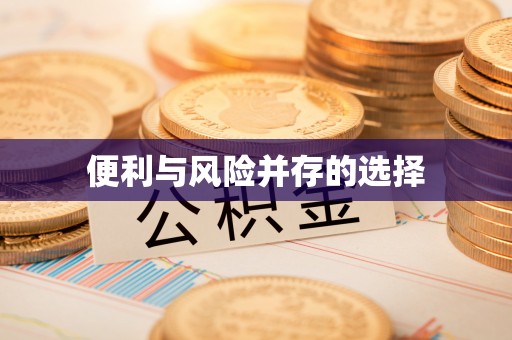 电白便利与风险并存的选择