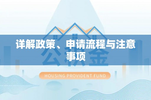 电白详解政策、申请流程与注意事项
