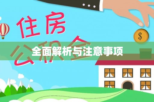 电白全面解析与注意事项