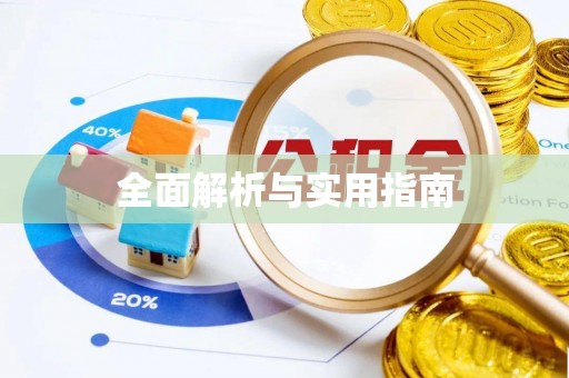 电白全面解析与实用指南