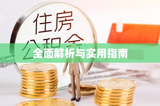 电白全面解析与实用指南